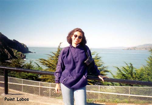 08. Point Lobos